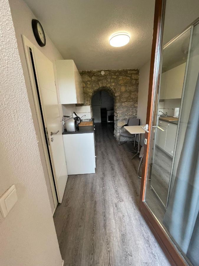 City Apartment Bad Saeckingen Mit Parkplatz מראה חיצוני תמונה